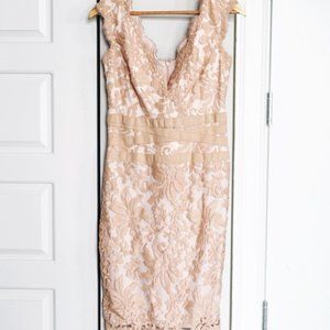 Tadashi Shoji Blush Lace Dress (never worn)